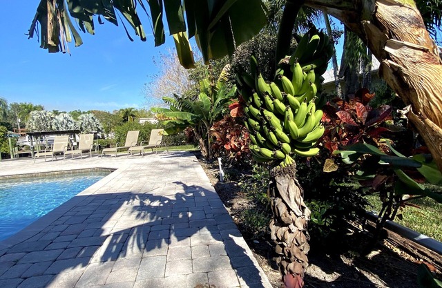 Private Heated Pool Home on the bayou leading to the Gulf of Mexico☼