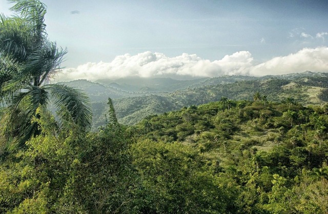 Private retreat in one of the natural wonders of the Caribbean