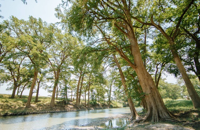 Private River Access on Seven Acres