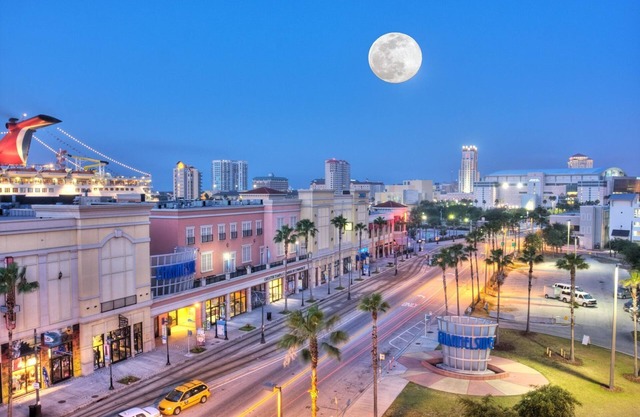Private Tampa Guest Retreat Minutes to Downtown!