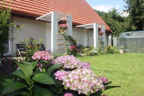 Przystanek Dzika Dolina