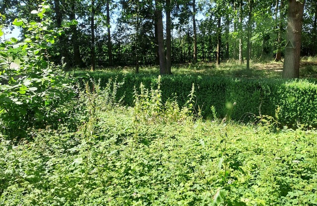 Pure nature, horse farm, forest property