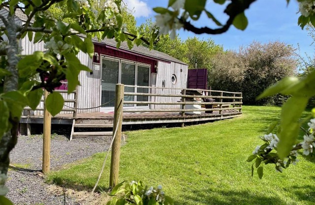 Purple CargoPod at Lee Wick Farm Cottages & Glamping