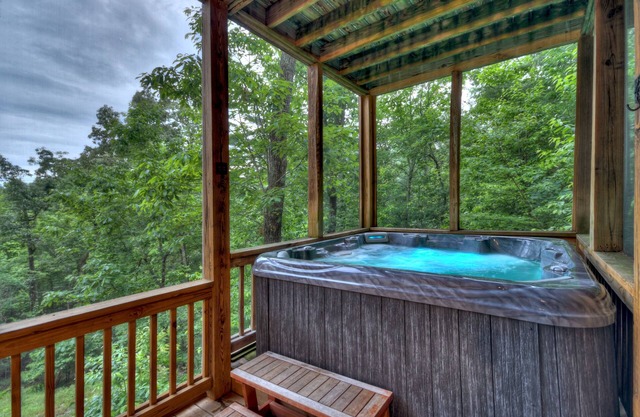 Pursuit of Happiness - Mountain luxury, hot tub, big-screen TVs, pet-friendly