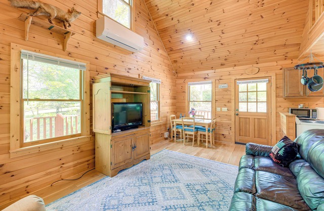 Quaint Cabin w/Stream in Blue Ridge!