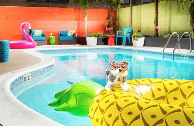 Quaint Seattle Room with Tropical Flair & Treats| 2 Family Ready Rooms