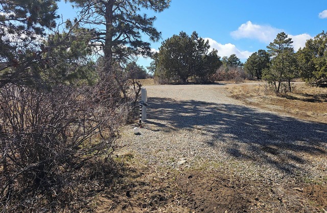 Quiet and cozy rv spot. Enjoy peace and quiet away from town.