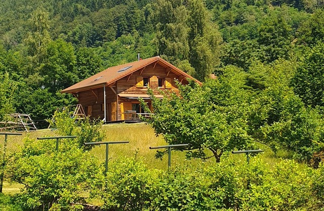 Quiet chalet, private pond for fishing or swimming 4km from shops