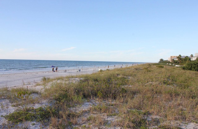 Quiet, Relaxing, Friendly Condo just a Walk across the street from the Beach!