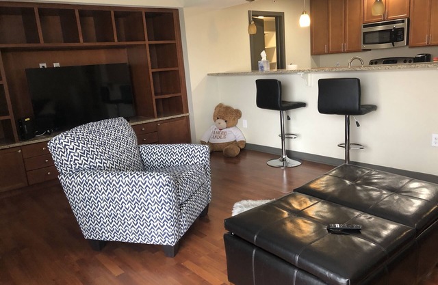 Quiet, Secure, Luxury, Cozy Apartment