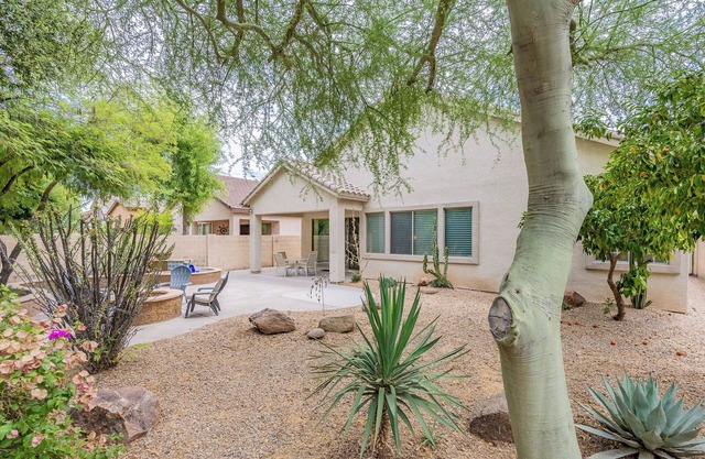 Quiet Sonoran Foothills: Pet-Friendly, Basketball, Pickleball, Pool & Sleeps 8