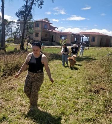 Quinta las Marias, Ecolodge y Tiny wood house