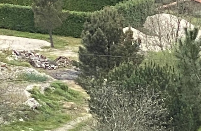 Quinta Vale da Aldeia