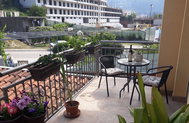 Radovic apartments