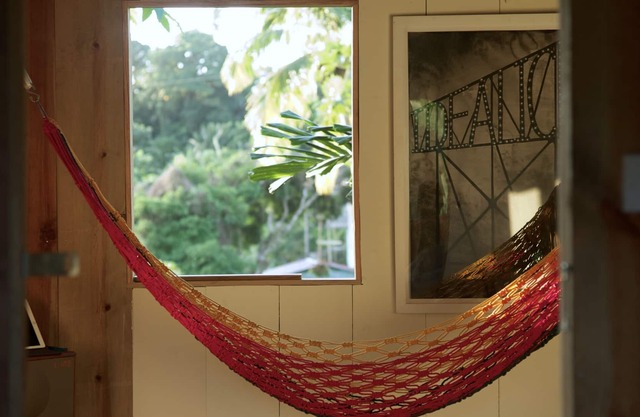 Rainforest Home to peel your stress away