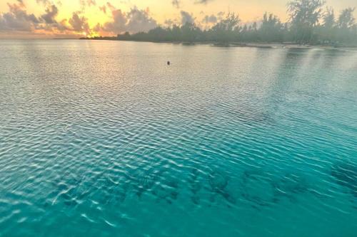 Rangiroa Tiny House