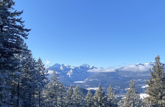 Real stone cabin, wake to million dollar views, abundant wildlife.