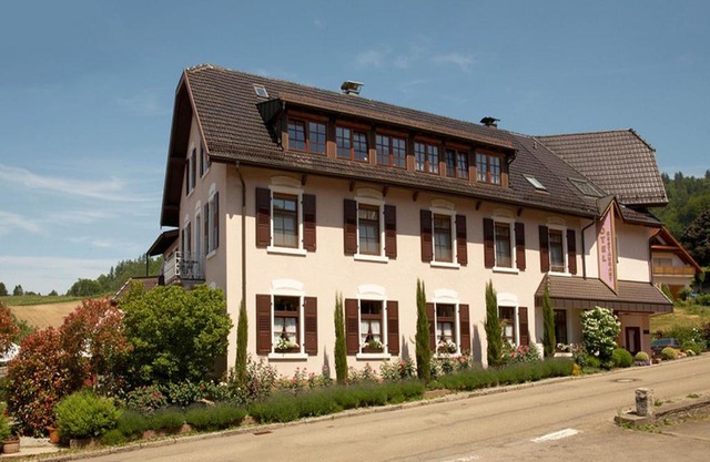 Rebstock Kappelwindeck
