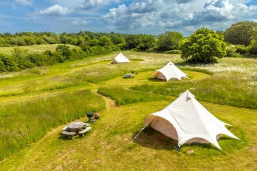 Red Clover at Blancas Bell Tents