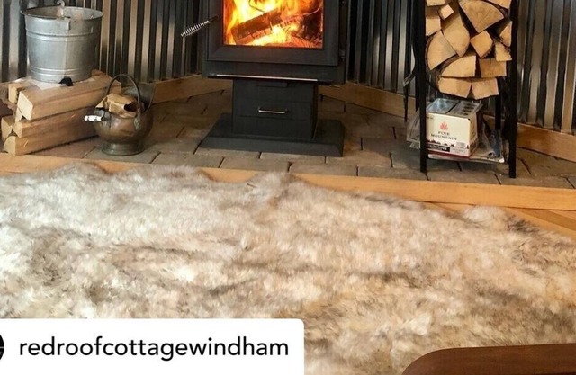 ‘Red Roof Cottage’ Windham *Updated home minutes to the mountain