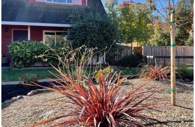 Rejuvenating Family Friendly Get Away: Near San Francisco/Berkeley