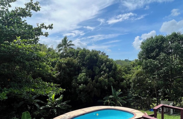 Relax and unwind at our tropical oasis!