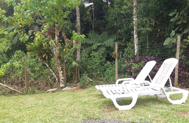 Relax in the green of the Atlantic Forest.