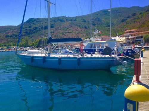 RELAX Orca 43
