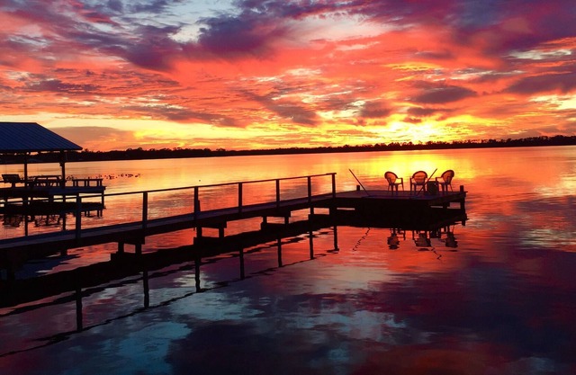 Relax/Watch Sunsets & Birds Over Lake Between Lk Placid & Sebring at LoonCottage