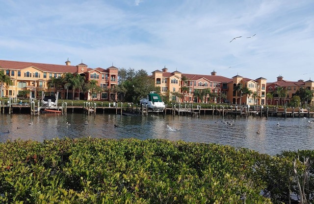 Relocate/Vacay in Clearwater-TampaBay 2King/2BA Waterfront