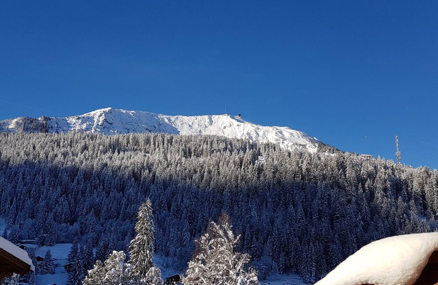 Renovated Apartment, 0.3km to Gondola & in Centre of Village