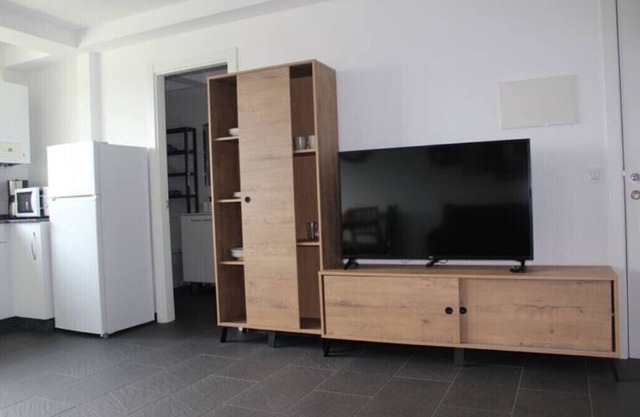 Renovated downtown apartment