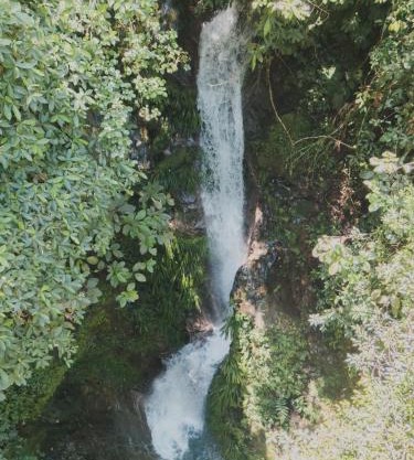 Reserva Wanaka