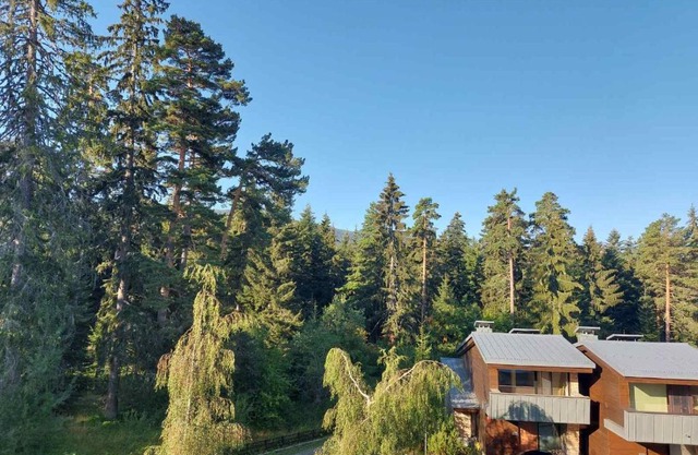 Residence E205 Euphoria Borovets