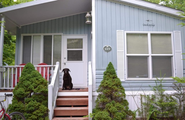 Resort cottage in Point Sebago resort
