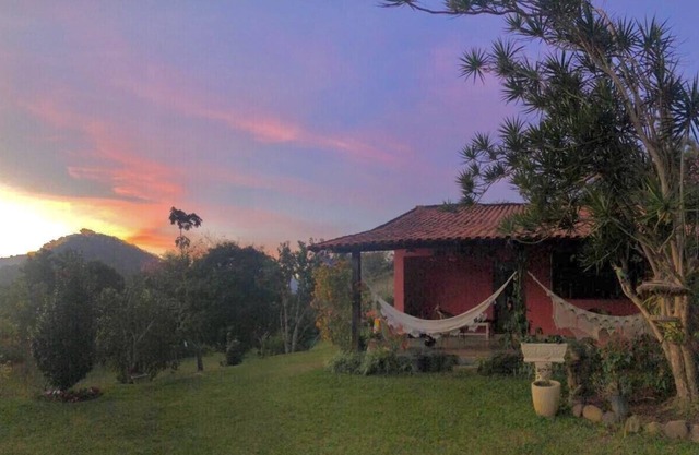 Rest in the Valley of the Vines - Macaws