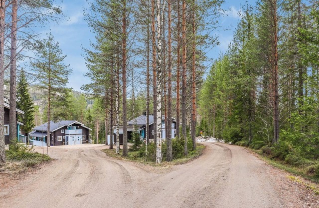 Revontuli 1 by Interhome