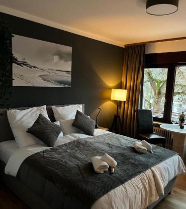 Rheinpanorama Suite mit Balkon