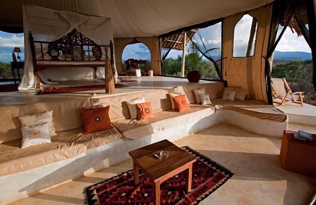 Ripo Wild Safaris