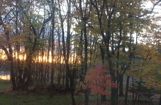 River House - Vacation Home