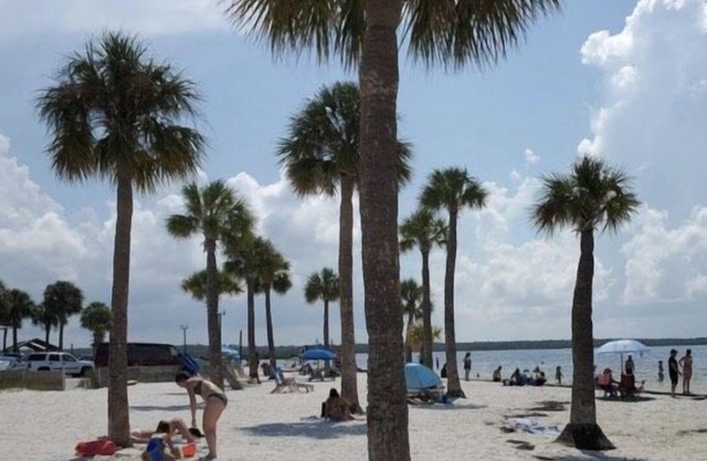 River to Gulf/kayaks/bring your boat/dogs -No fee/fenced yard/Mermaid themed