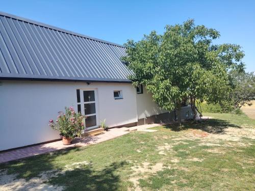 Rizling apartman Balatonendréd