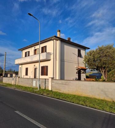 Rosignano Marittimo Rosa Bianca