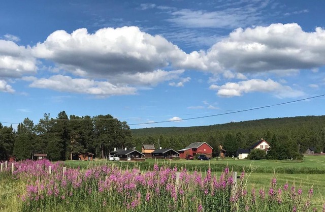 Roste Hyttetun og Camping