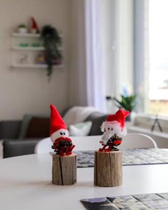 Rovaniemi Downtown Apartment