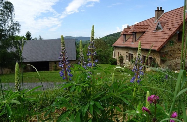 Rural gite Boisseau, 6 pers. quiet and spacious with panoramic views