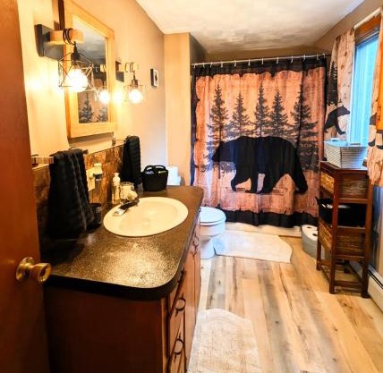 Rustic 3 bedroom Cottage in The Western Maine Mountains