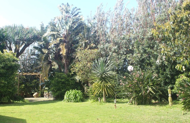 Rustic house with garden overlooking the sea in the center of the island