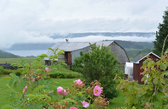 Rustic House Fjord