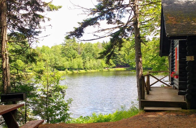 Rustic log cottage, Lake-view, Pet-friendly, Downeast Maine